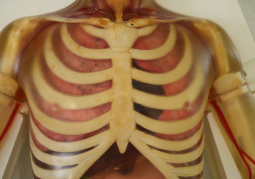 综合超声检查平台2.0